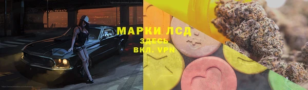 спиды Армянск