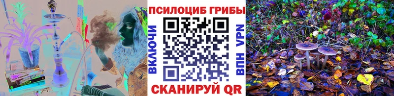 где продают   Байкальск  Галлюциногенные грибы GOLDEN TEACHER 